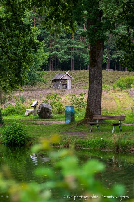 Blick auf den idyllischen Dorfteich in Undeloh mit Heidefläche und Bienenzaun im Hintergrund.